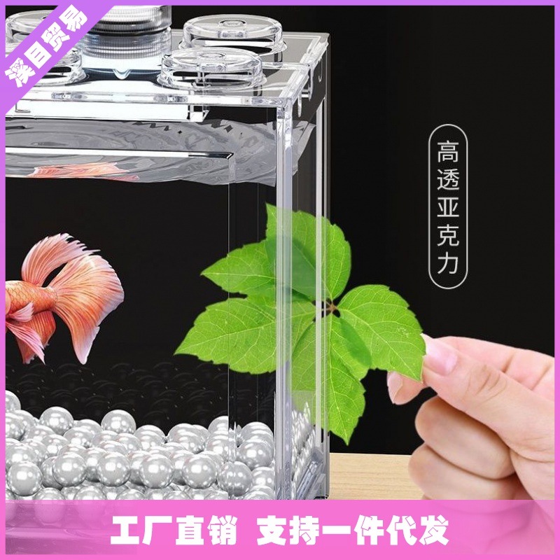 Constructor, aquarium, seaweed, wholesale