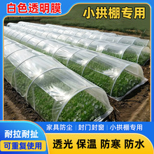 �r��С����Ĥ�������طN�����猣��Ĥ͸�����ϱ�Ĥ�b�޷��m��ˮ