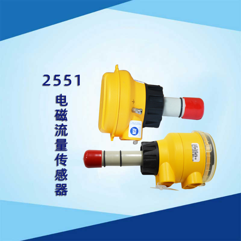 GF流量计signet2551-P0/P1/P2/V0电磁流量计 2551流量计