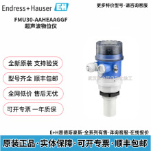 �¹�����˹��˹ FMU30-AAHEAAGGF ��������λ�� G1-1/2 ���� IP68