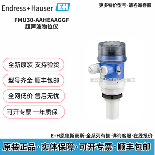 ������˹��˹ FMU30-AAHEAAGGF ������λӋ G1-1/2 �ݼy IP68