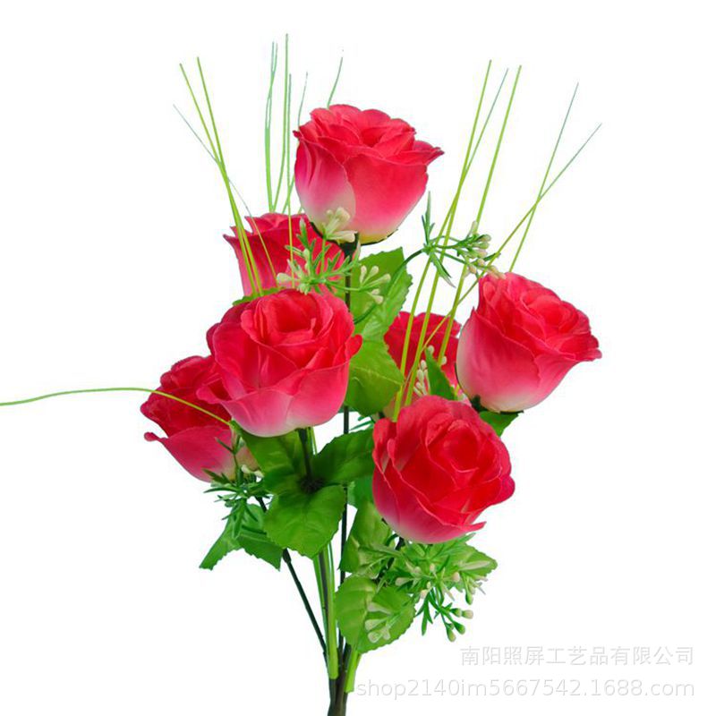 7头孔雀玫8.jpg