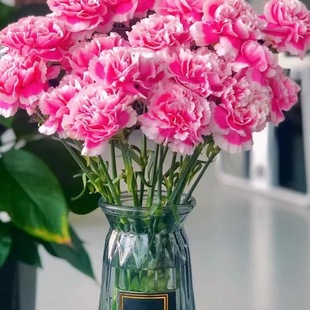 ����ܰ�r��ֱ����ϻ����r�л��̎����DŮ����ͥ�廨Ů�񹝶Y��