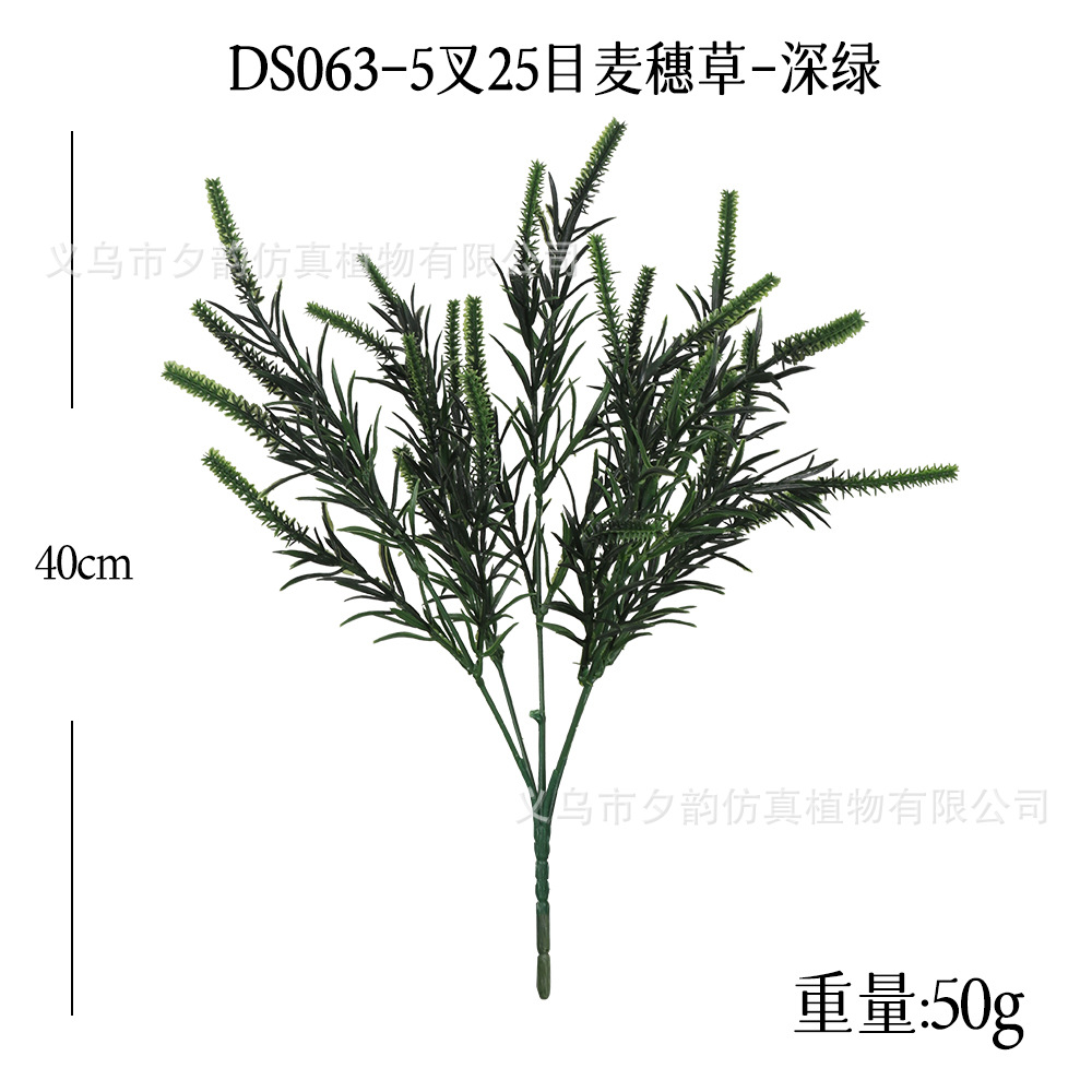 DS063-짙은 녹색 다섯 갈래 밀이삭 풀 머리