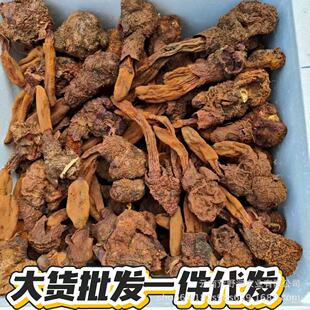 �i����� ɳĮ�˅��ݾ��� ���ɽ؛һ�����l���l