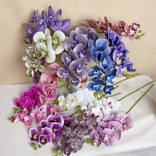 3D��ӡ�����m �����ָк����m��c�b��{��ɫϵ�ǿջ�Y���ò廨