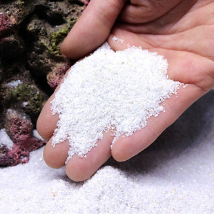 Coral Sand, Philippine Shell, White Fine Sand, Fish Tank Decoration, Sea Tank, Three-Lake Cichlid Fish, Hermit Crab Bottom Independent Stand