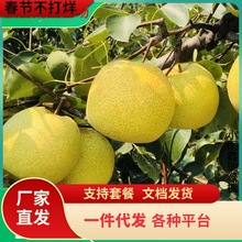 һ�����l������޽���������Sˮ���Ә��m���Ԯ���Y�������