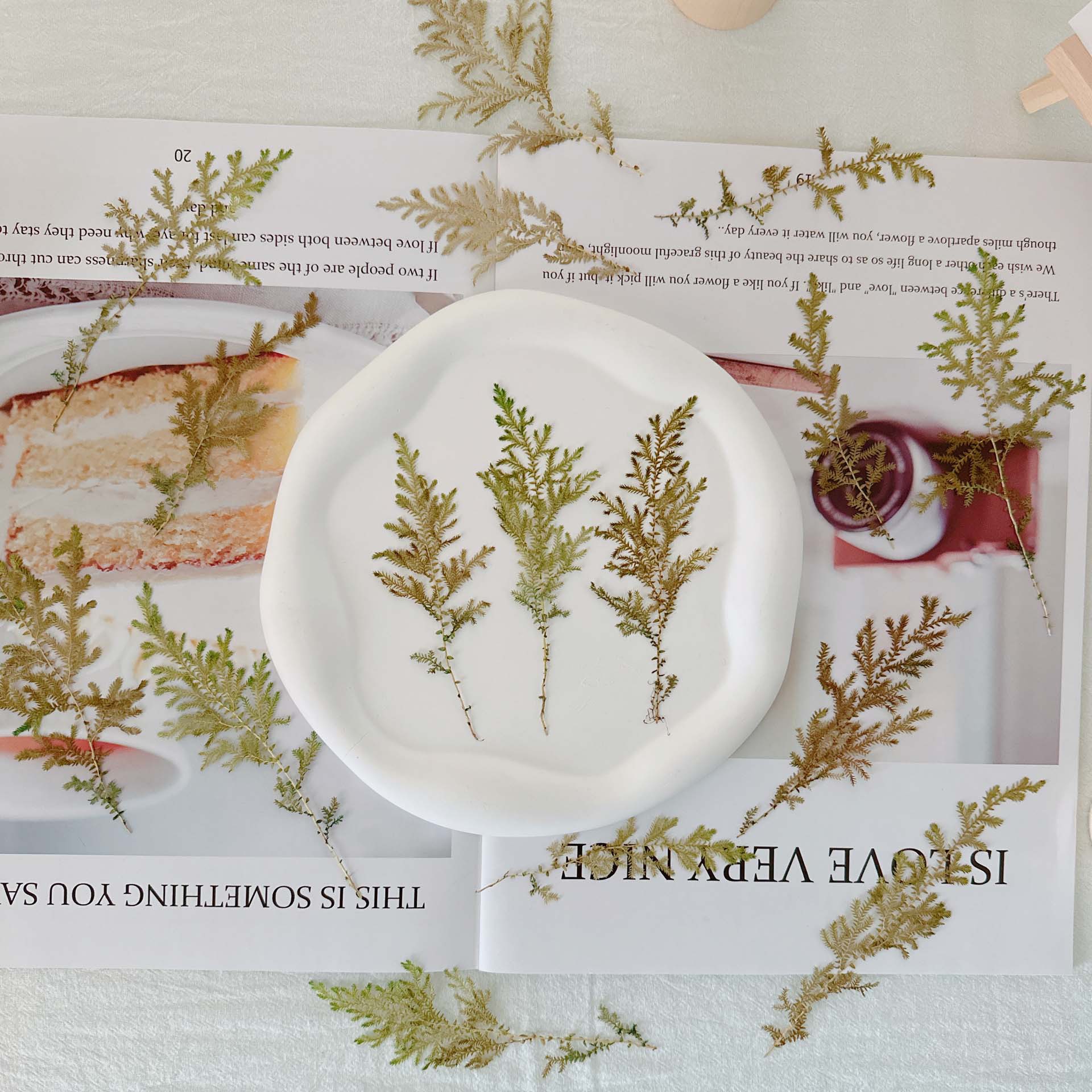 水草 乾花壓花材料包diy手工滴膠相框檯燈手機殼貼畫火漆信封請帖