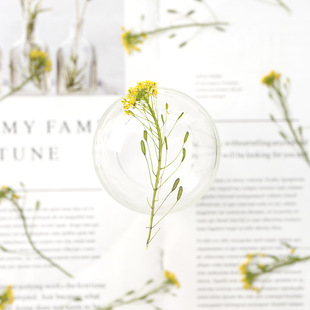 �j�˻� �滨Ѻ�������׃��̌Wֲ��˱��زĲ��ϵ��z�ɻ��֙C��diy