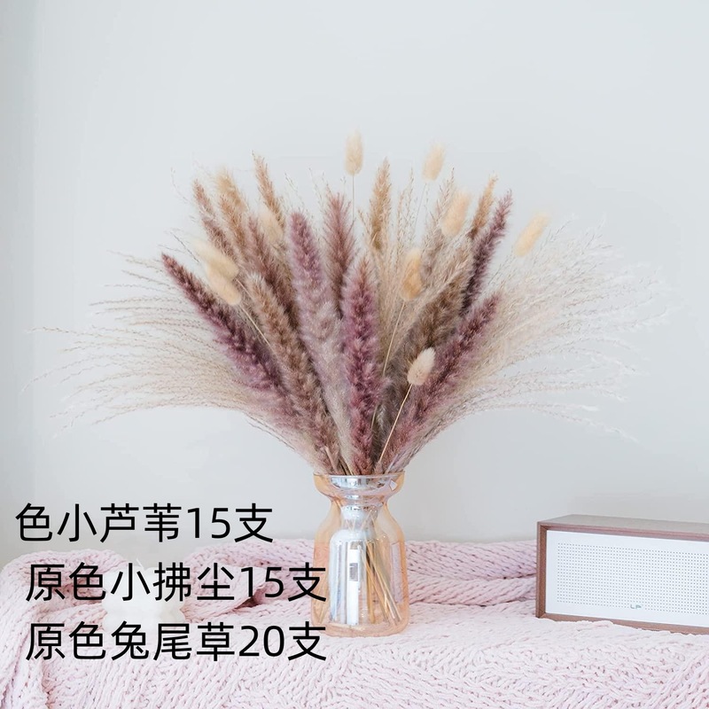 アマゾンはよく売れています。葦の花の花束です。|undefined