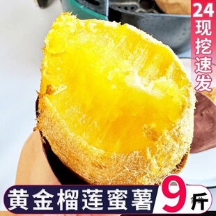 ��ɏ������ɯ��t�����r5�������عϳ�����ɯ�t������