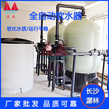 厂家供应全自动软化水设备工业锅炉软化水器井水过滤钠离子交换器