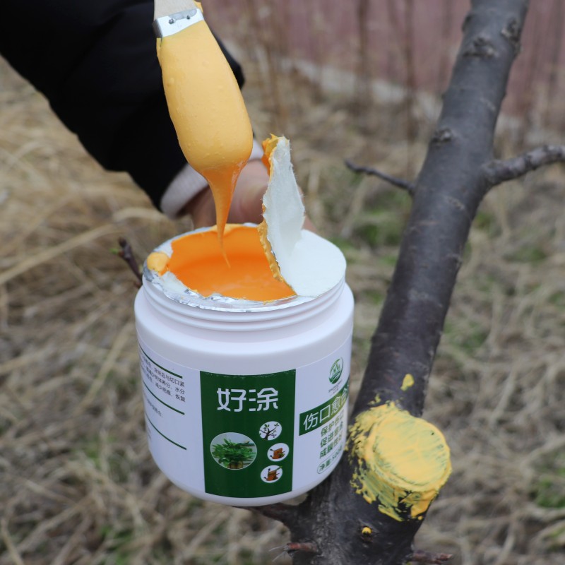 IMG_4213_副本橘黄色