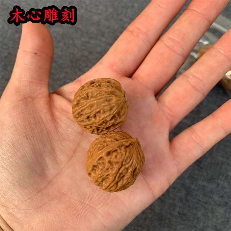 微信图片_20230307223047