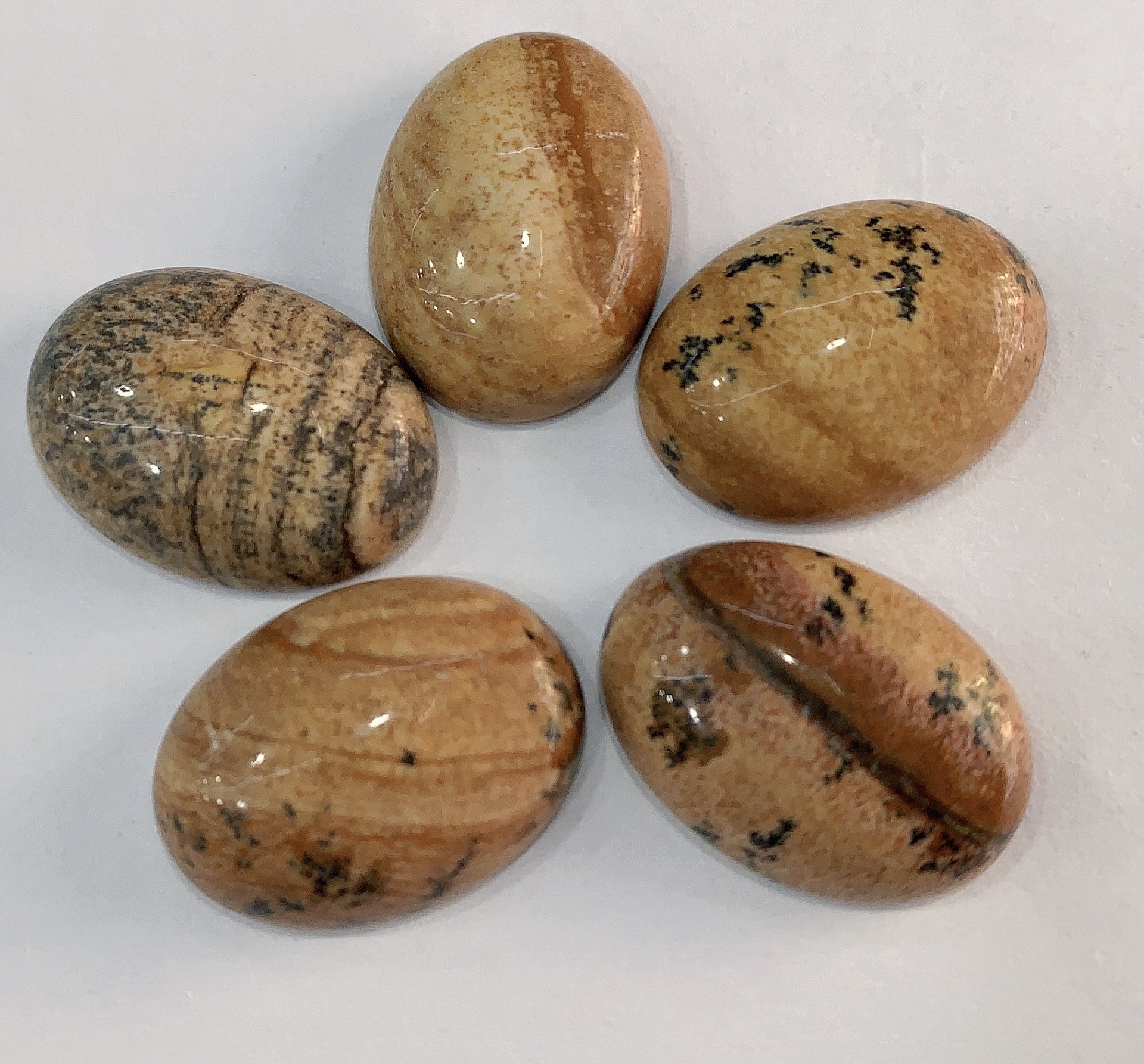 微信图片_20230222112455