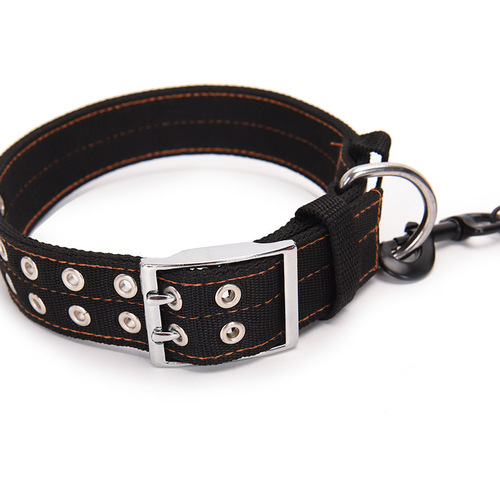 Thick buffered traction rope, medium and large dog traction suit, dog leash with spring dog leash, dog set, dog collar