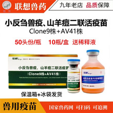 �A����������С���c������ɽ���c�������������c���`