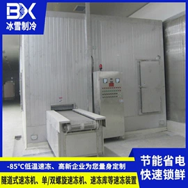 保鲜冷藏设备;冷冻食品加工;其他制冷设备
