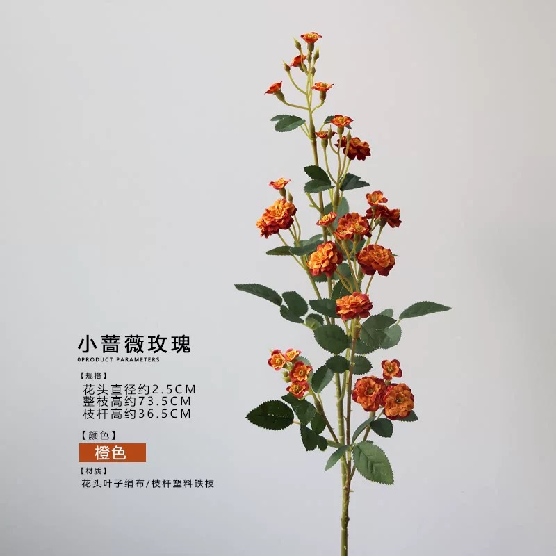 【주황색】
