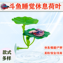 ���~��Ϣ�~����~�a�Ѻ��~����ˮ��˯�X���~���쾰�b[����Ϣ�~