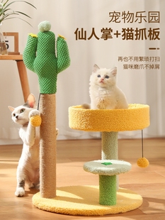 Cactus Small Cat Climbing Frame Kitten Cat Scratching Post Cat Nest Cat Ball All-In-One Space-Saving Shelf Cat Toy Plain Rainbow