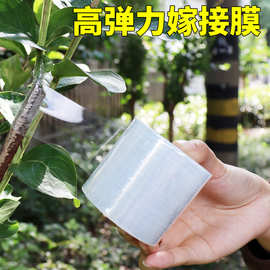 果树嫁接膜免打结3cm5cm6cm8cm10cm包装拉伸膜外卖膜PE小卷缠绕膜