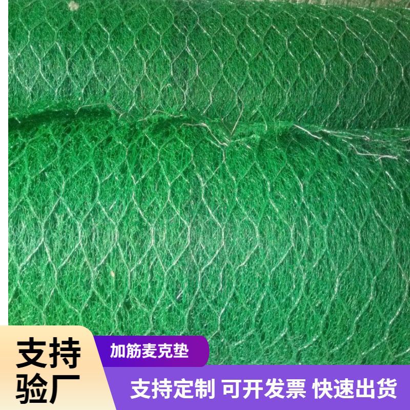 厂家现货加筋麦克垫镀锌加筋三维网垫双绞合六角防汛固堤铁丝网