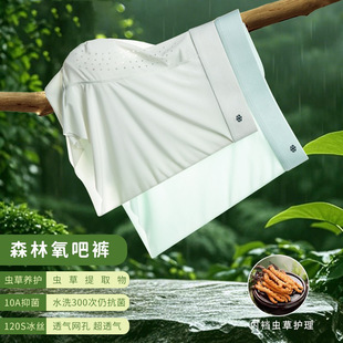 ���x���B�o���ļ���ʿ���z��ѝ�п��10A�־��Ľ�͸��o����