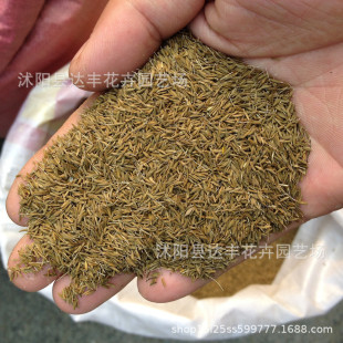 �ѹ�Ӣ�N�����l�S�����S���ض��S����ľɽș�{�����a�a����֭��ޣ