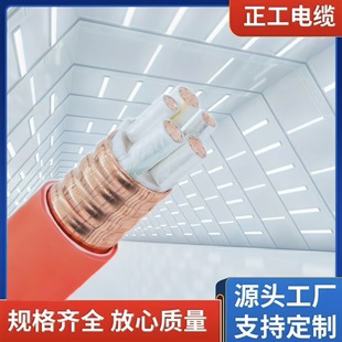 �V���|�^��������|���ٵV�����������|NG-A-0.6/1KV��������|