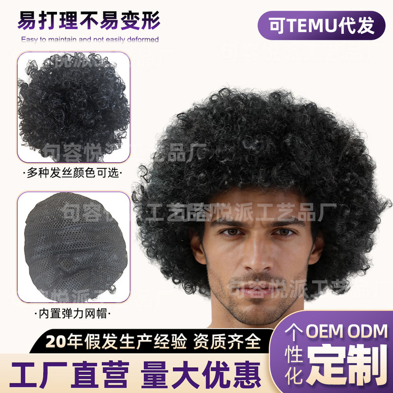 Cross-Border Overseas Wigs, Afro Wigs, Clown Cosplay, Children's Day Parent-Child Activity Props, Halloween Colorful Fan Wigs Cross-Border Overseas Wigs, Afro Wigs, Clown Cosplay, Children's Day Parent-Child Activity Props, Halloween Colorful Fan Wigs
