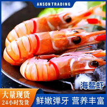 冷冻海螯虾爱尔兰寿司刺身日料西餐家庭商用虾批货零售