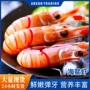 爱尔兰冷冻商用家庭螯虾
