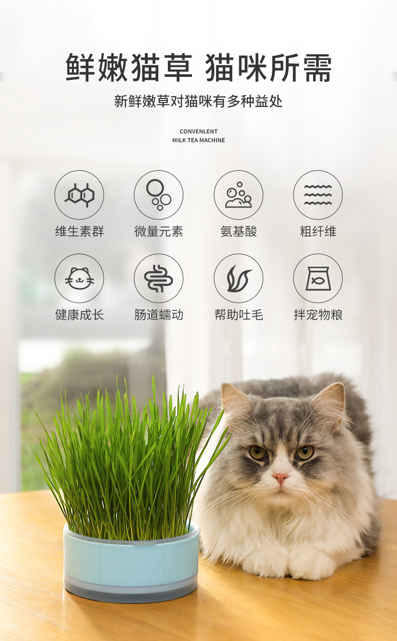 猫草_02.jpg