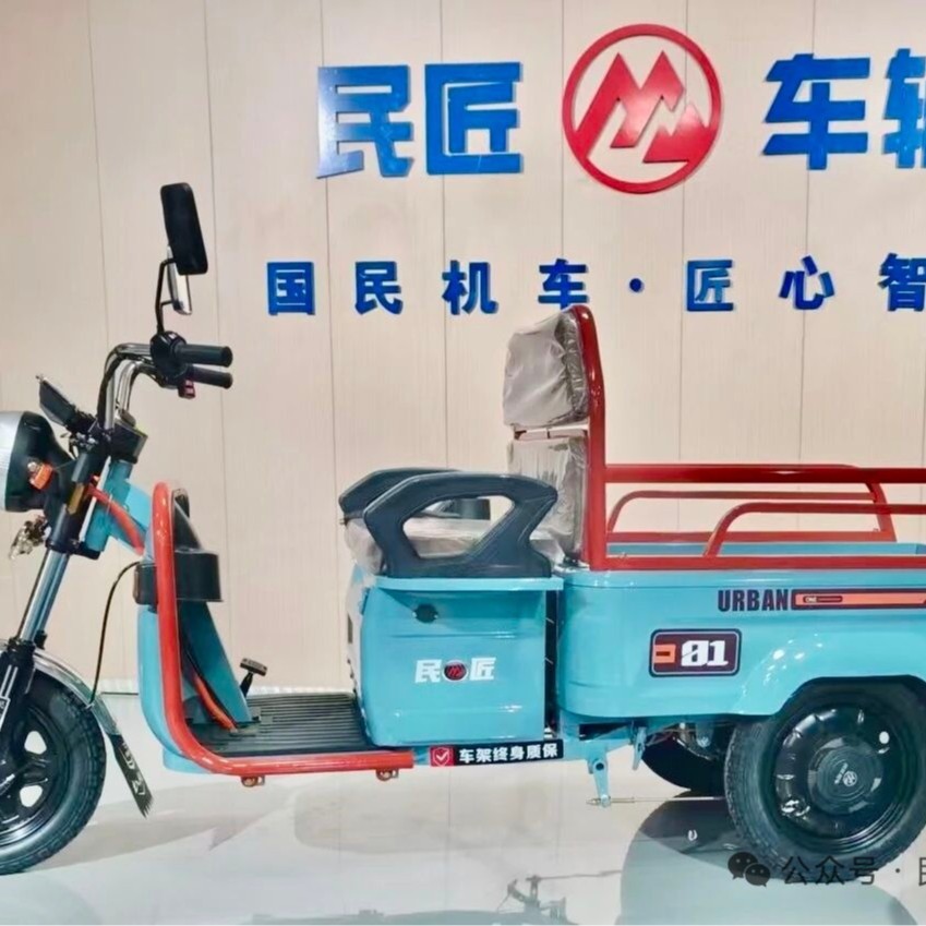 Triciclo eléctrico de ocio para el transporte doméstico pequeño coche de batería pequeña exportación tres trampolines image 3