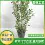 仿真盆栽定制婚庆橄榄树