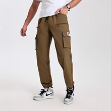 2026�¿�羳ѝ����ʿ��ʽ�W�a���e����ѝ���uͨTM���R�d���bѝ