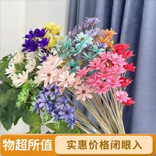�ɻ����ӻ� �ֹ���С���º��s�����b���������cDIY�������Ĕ[��