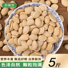 ��؛�ױⶹ5���r���ԷN��ⶹ�ϱⶹ��ܿ������s�Z��ּZ���]