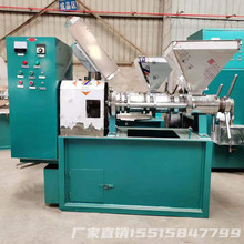 定制榨油机 山茶籽螺旋榨油机 油坊不锈钢榨油机