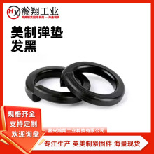 1/4~1-3/4���ưl�ڏ��ɉ|ȦӢ�Ə����_�ډ|Ȧ