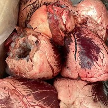 ���aţ�������ţ��ţ�s���ţ�ĝh��ţ�✫���ʳ���������l