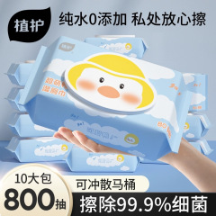 植物保護トイレワイプ 10 大パックウェットトイレットペーパー家族手頃な価格の純水ウェットワイプ流せるトイレットペーパー卸売