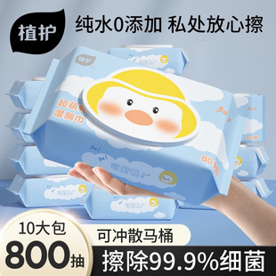 Plant-Based Toilet Wipes 10 Large Packs of Wet Toilet Paper Family Affordable Pure Water Wet Wipes Flushable Toilet Paper Wholesale