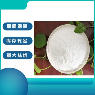 浙江丽水/衢州工业级超细1000目小苏打厂家   发泡剂碳酸氢钠