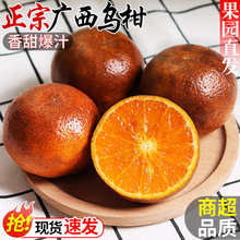 ���ڏV������3/9�����rˮ�������Ƥ��Ƥ�̬Fժ�F�l��Ƥ����