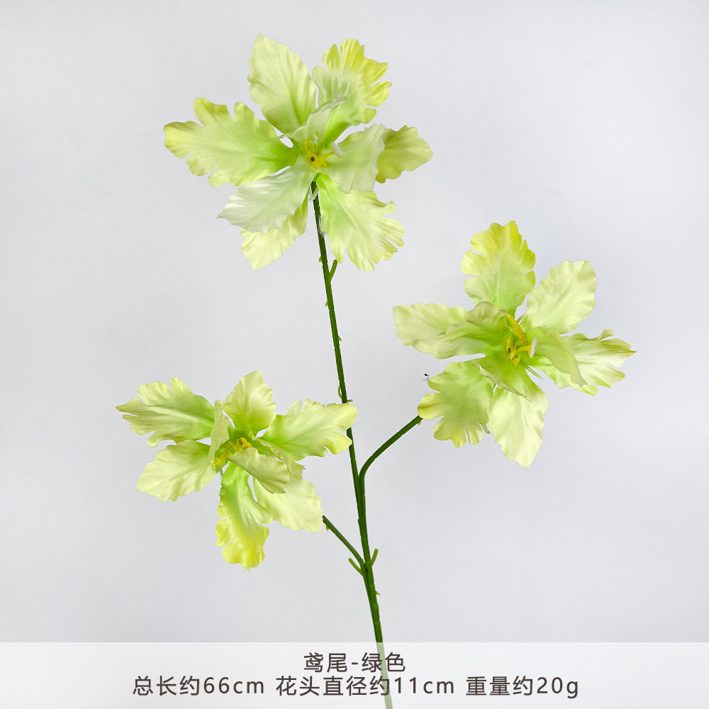 HT-鸢尾-绿色