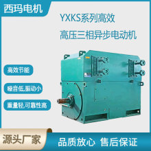 ����������YXKS4004-4��630KW6KV��ѹ�����ͽ��������첽�綯��