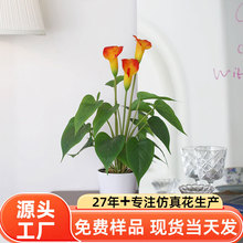 PVC馬蹄蓮仿真花盆景 婚慶家居裝飾造景 仿真綠植盆栽廠家批發